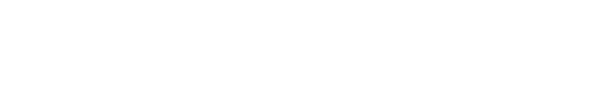 Digital Leaders Consulting